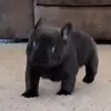 bradleyhope - @bradleyhope - TikTok