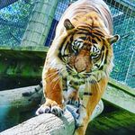bradley leach - @bradleyleach291 - Instagram