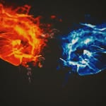Bradley Lee - @bradleylee9265 - Instagram