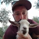 Bradley Levinstone - @bradleylevinstone - Instagram