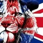 Bradley Lynch - @mrbrad0123 - Instagram