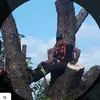 Brad MacDonald - @bradmacdonald852 - TikTok