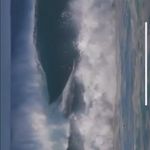 Bradley Macdonald - @bradley___macdonald - Instagram