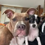 Bradley mathis - @bradley11mathis - Instagram