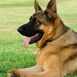 bradley mathis - @hotharrietparkes401 - Instagram