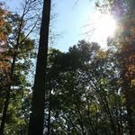 Bradley McNeely - @mcneely_bradley - Instagram