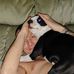 Bradley Meredith - Facebook