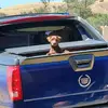 Bradley Meredith - @bradley.meredith27 - TikTok