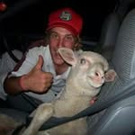 Bradley Meyer - @the_meyer_cat - Instagram