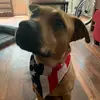 Bradley - @bradley_miles - TikTok