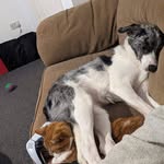 Bradley Miles - @runswift84 - Instagram