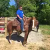 bradleymiles028 - @bradleymiles028 - TikTok