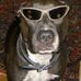 Bradley Molnar - Facebook