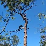 Bradley Morrell - @morrell.bradley - Instagram