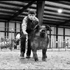 Bradley - @bradley_murphy08 - TikTok