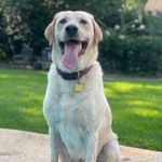 Bradley Murphy - @bradleymurphy231 - Instagram