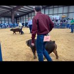 Bradley murphy - @bradley_murphy08 - Instagram