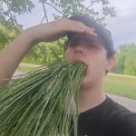 Bradley Oakes - @plneapplesnapple - Instagram