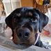 Bradley Oakes - Facebook