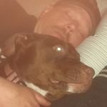 Bradley Ogle - @ziggy1871 - Instagram