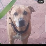 bradley oldham - @bra.dleyoldham6699 - Instagram