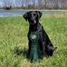 Brad Olinger - Facebook