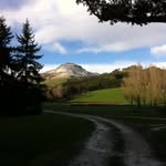 Orton Bradley Park - @parkortonbradley - Instagram
