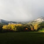Orton Bradley Park - @ortonbradleypark - Instagram