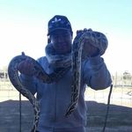 Bradley Paulsen - @bradleypaulsen - Instagram