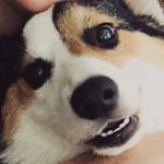 Bradley Phillips - @bradleyphillipsart - Instagram