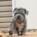 Bradley Phillips - Facebook