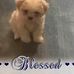 Nanette Bradley-Pryor - Facebook