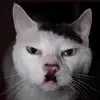 bradleyreal - @bradleyreal - TikTok