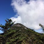 Bradley Rice - @bradley_rice16 - Instagram