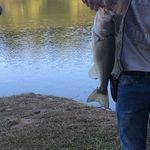 Bradley Rogers - @bradleyrogers75 - Instagram