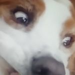 Bradley Rogers - @bradley_rogers69 - Instagram