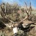Brad Silcox - Facebook