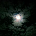 Bradley Singleton - @majorunkenji - Instagram