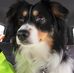 Bradley Small - Facebook