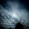 Bradley - @bradleysapp - TikTok