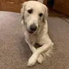 Bradley Snow - @bradleysnow127 - TikTok