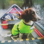 Bradley Springer - @springerbradley - Instagram