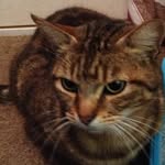 Bradley - @bradley_sword_2243 - Instagram