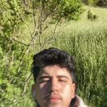 Bradley Tapia - @bradley.tapia8 - Instagram