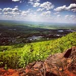 Bradley Thrash - @relaxaneyer - Instagram