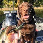 Bradley Wheeler - @thelabonthelake - Instagram
