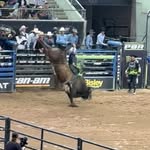 Bradley Wheeler - @bradley_wheeler02 - Instagram