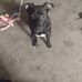 Bradley Wheeler - Facebook