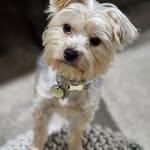 Rebecca Bradley Yeager - @msmfceoyeager - Instagram
