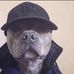 Brady Adams - Facebook